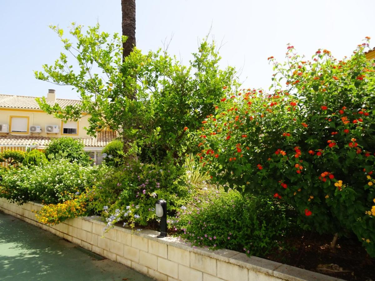 La Playa Oliva - Casa 20 Alquiler Solo Familias Apartment Екстериор снимка